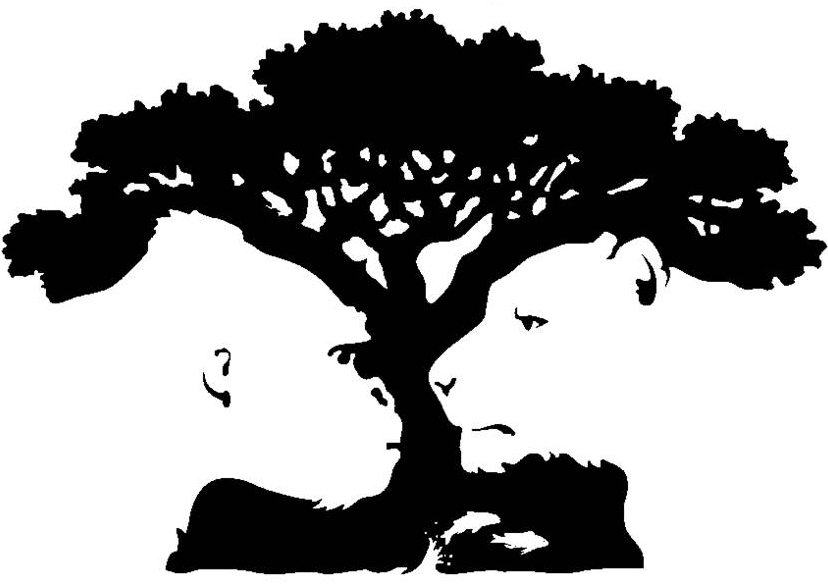 Michela Barucco, Counselor a indirizzo Bioenergetico e Gestaltico, propone a Bareggio e online percorsi individuali e di gruppo,